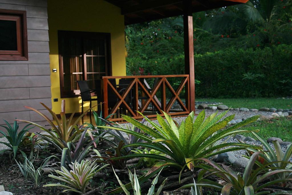 Apartmán Oasi Cahuita Pokoj fotografie