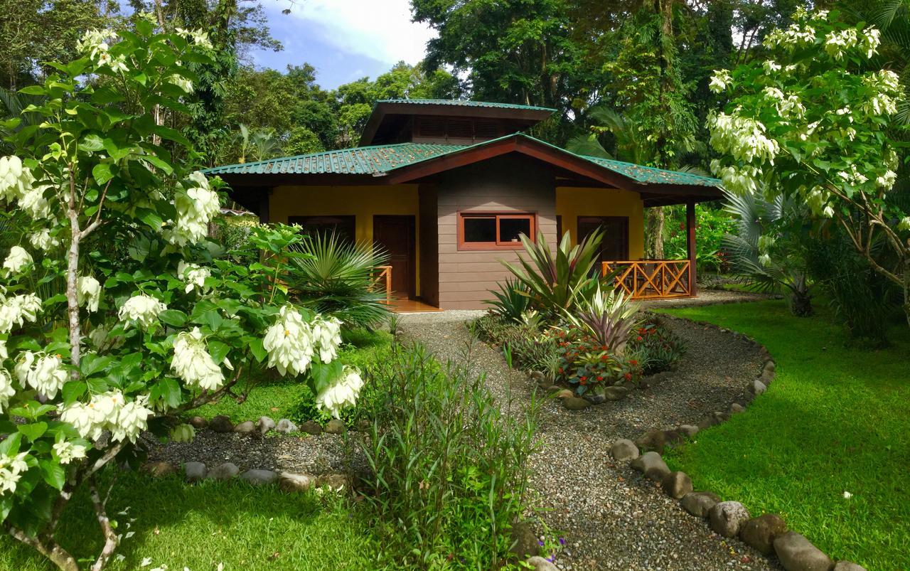 Apartmán Oasi Cahuita Exteriér fotografie